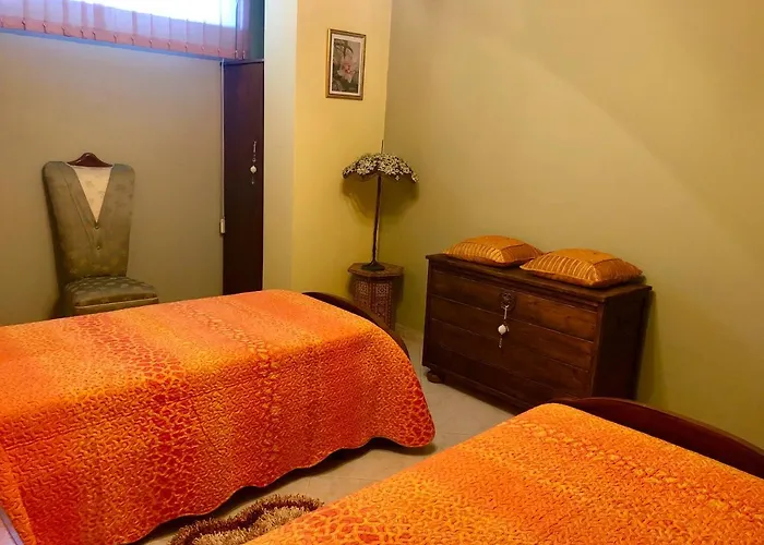 Zagara ג'ויוזה יוניקה