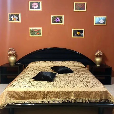 Zagara جيويوسا يونيكا